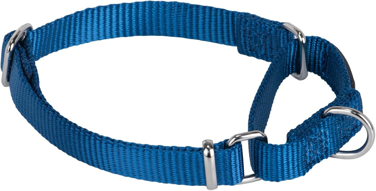 Hyhug Martingale Collar for Dogs Large Green |Escape - Proof Heavy Duty Nylon Durable No Pull, Ideal for Training & Daily Walks - Image 13