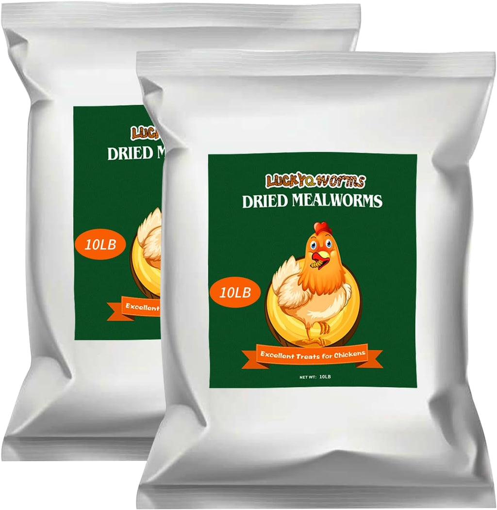 LuckyQworms 20 Pound Dried Mealworms bulk bag front view authentic animal feed