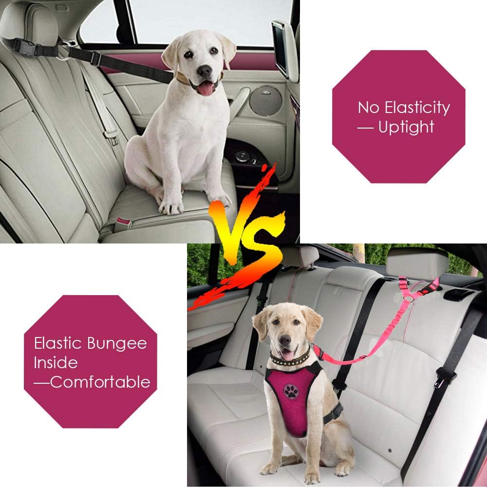 Lukovee pet safety leash with metal buckle and nylon strap