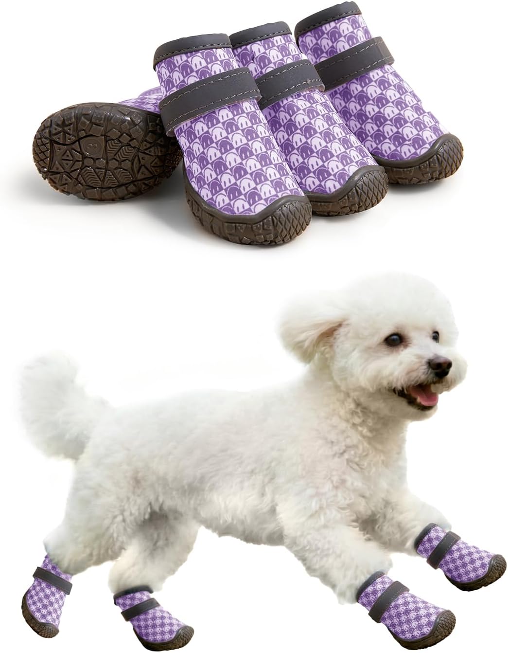 Small dog wearing Haloumoning protective paw boots