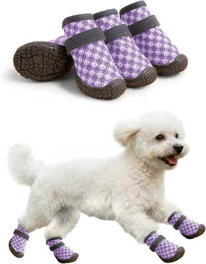 Small dog wearing Haloumoning protective paw boots