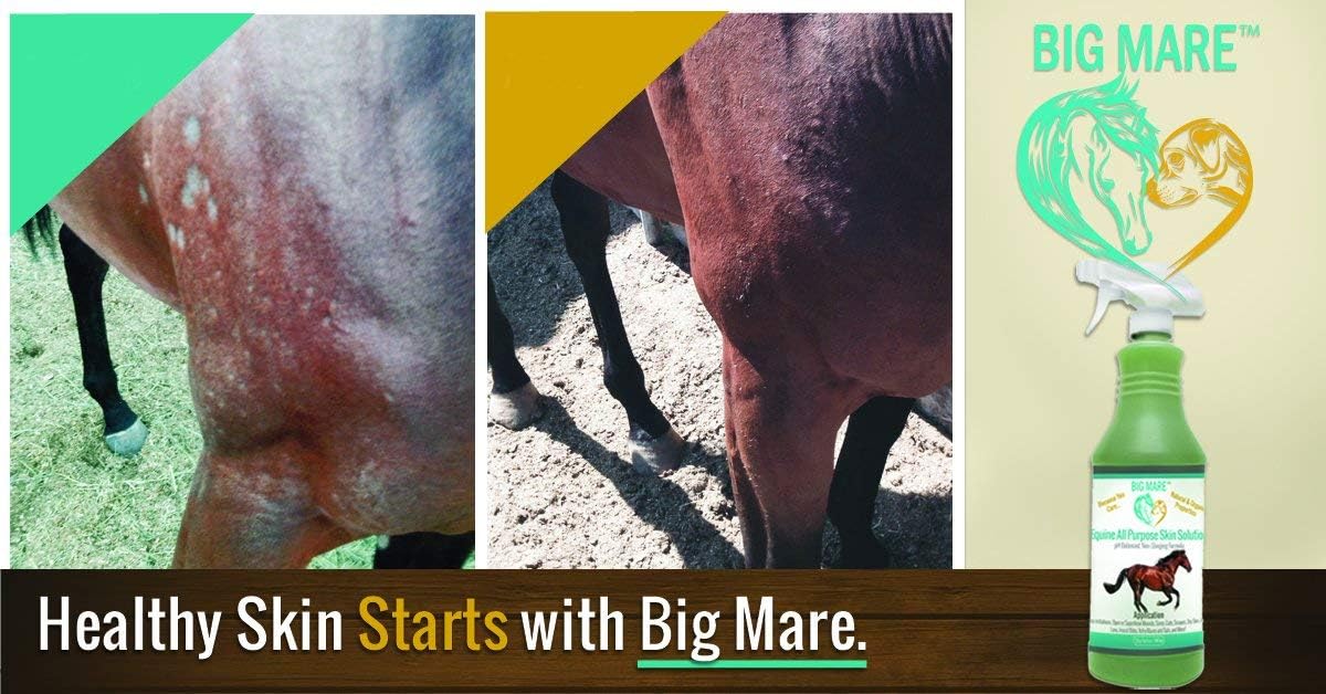 Big Mare veterinary approved wound care spray for horses