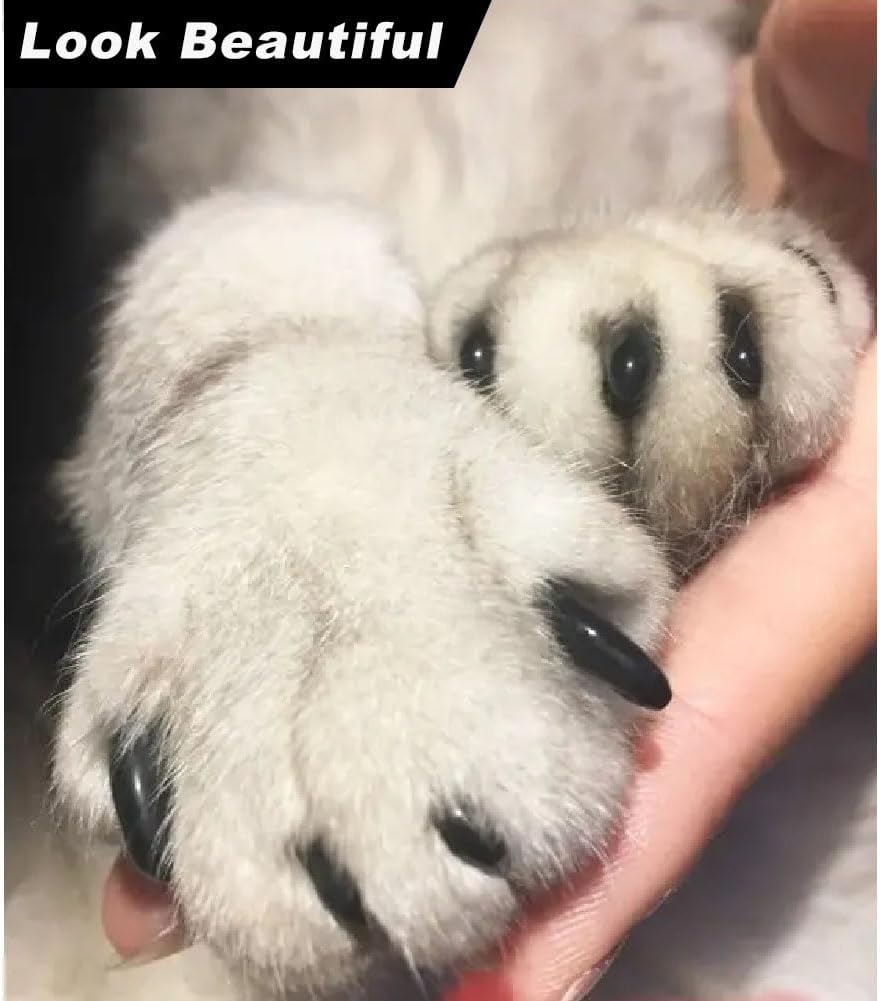 Close up of a cat paw wearing black comfortable vinyl resin caps
