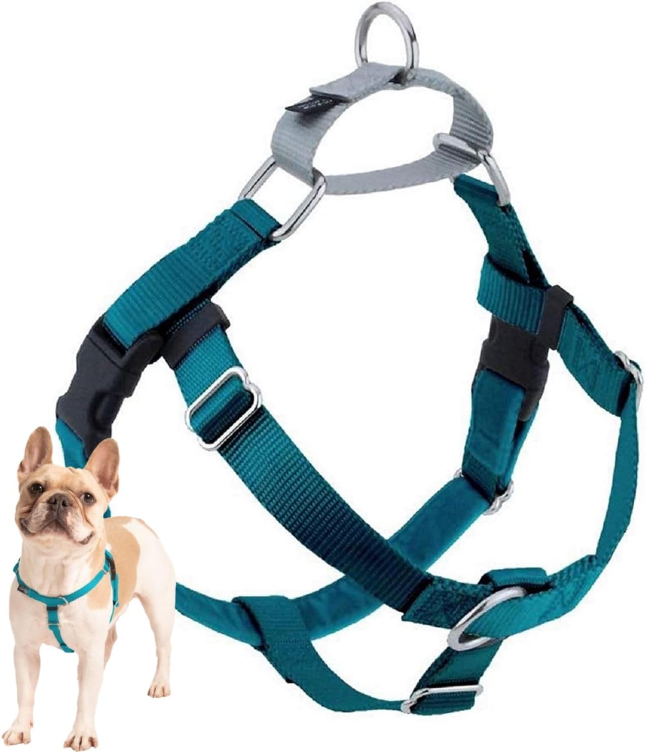 2 Hounds Design Freedom No Pull Dog Harness in Teal front view