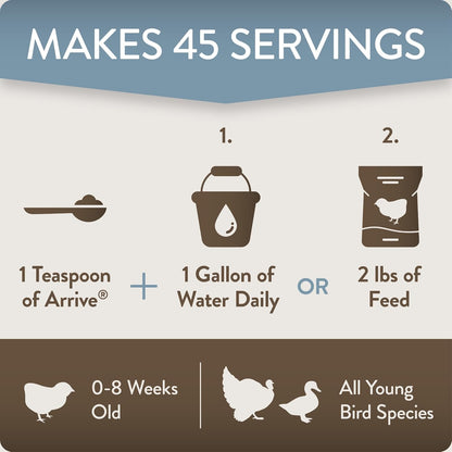 FlockLeader Arrive early stage poultry wellness supplement bag display for backyard chicken care
