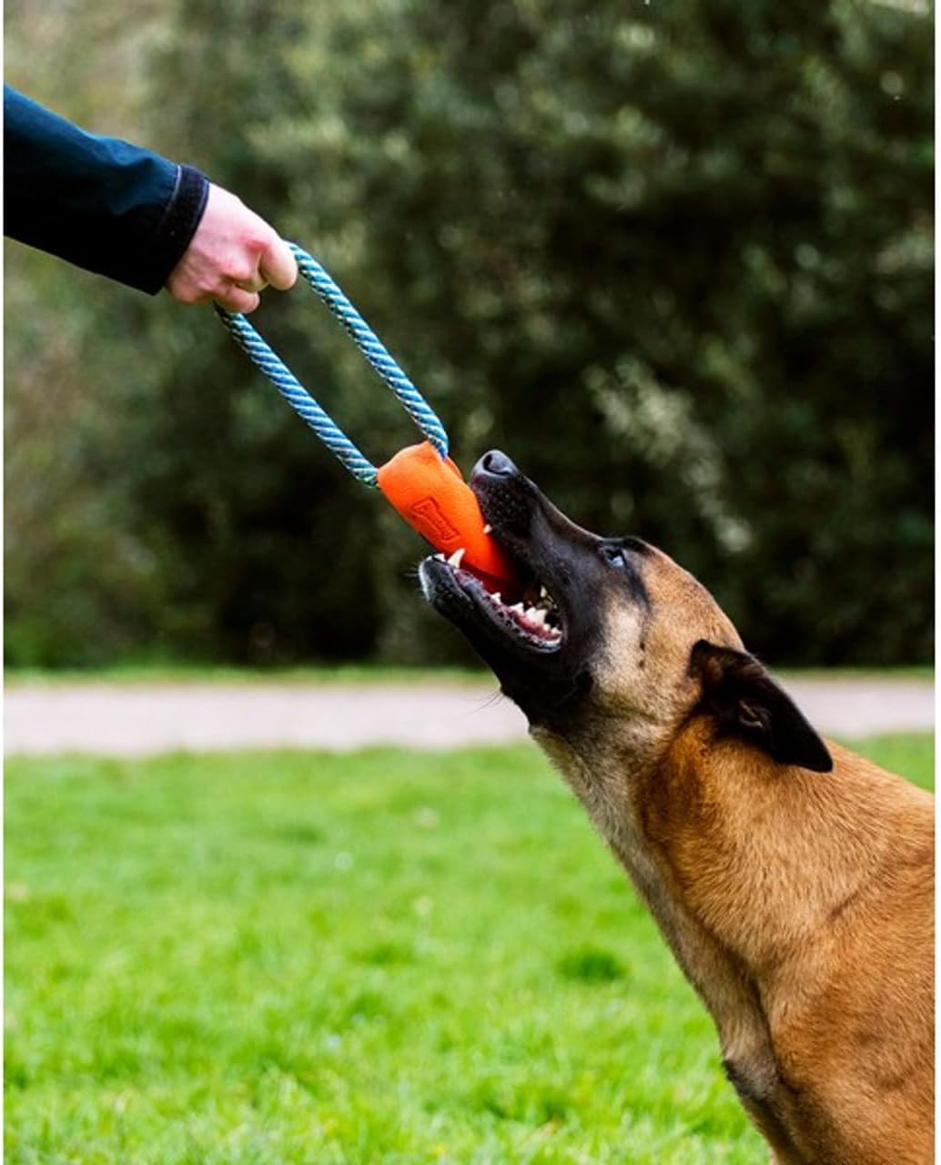 Chuckit! Ultra Bumper Tug water floating dog toy displayed from an angle highlighting the heavy duty dual play design.