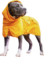 Spark Paws Breatheshield Dog Raincoat front view on a large breed dog in mustard yellow color.