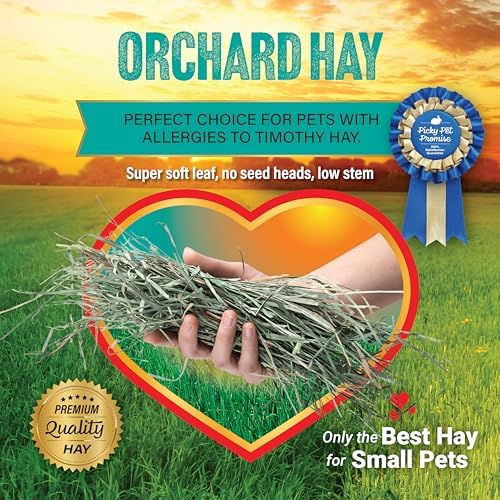 Small Pet Select Orchard Grass Hay 10 pound package size reference