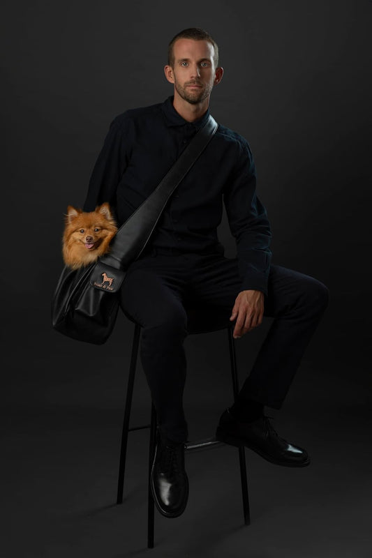 Noah and Paw pet carrier showing adjustable padded shoulder strap