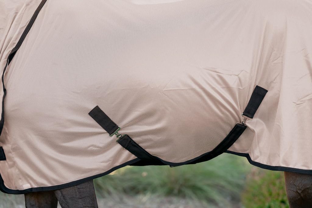 Side profile of a horse wearing the lightweight breathable polyester mesh fly sheet.
