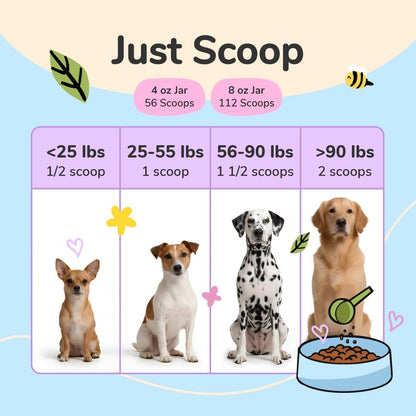 Vet formulated digestive support powder for dogs and cats
