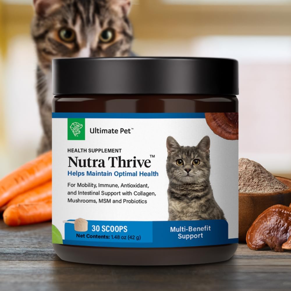 Authentic USA imported cat supplement packaging