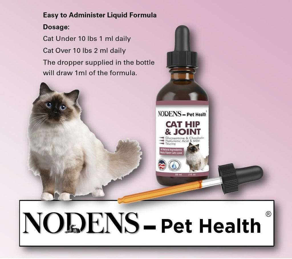 Nodens cat joint formula bottle lifestyle display