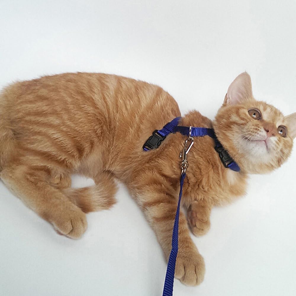 I-Shaped Escape-Proof Cat Leash 3-Pack - Adjustable Reflective Dog Leashes, Chest/Back Strap for Small Pets Walking - Image 5