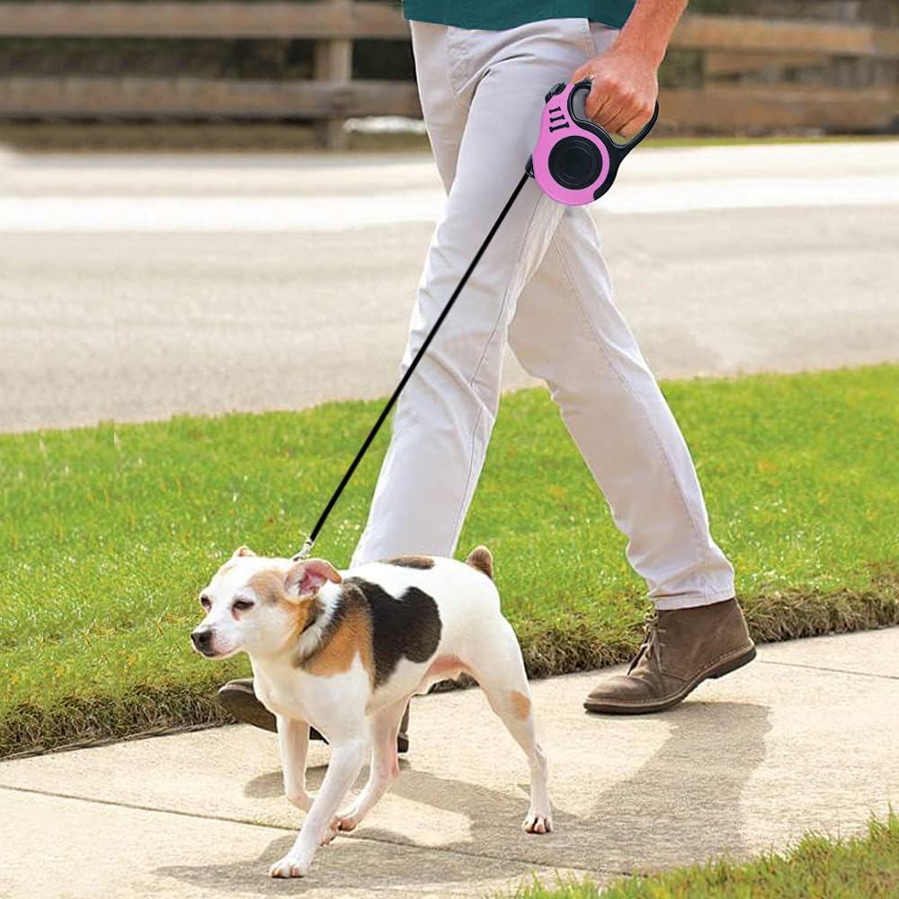 Small dog walking with Cupdarow retractable leash