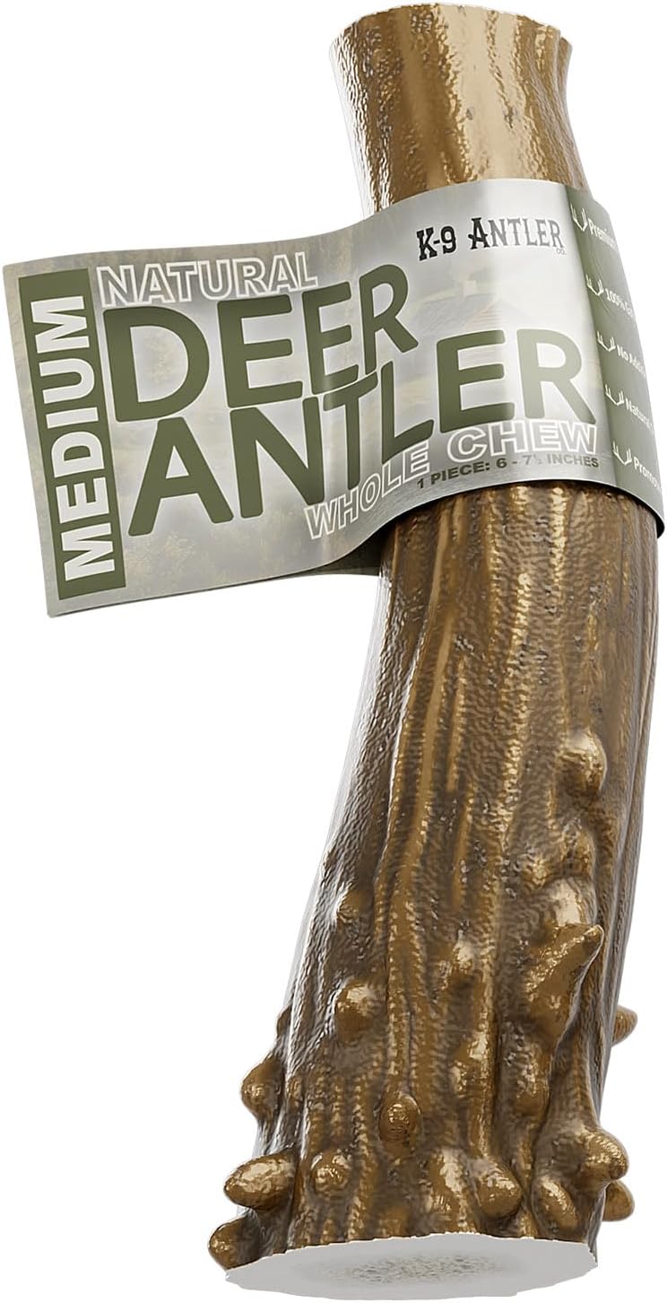Deer Antlers for Dogs - Large Whole (7.5-9 Inch), Durable Chew for Aggressive Chewers, Naturally Shed in The Wild, Responsibly Gathered in The USA - Image 10