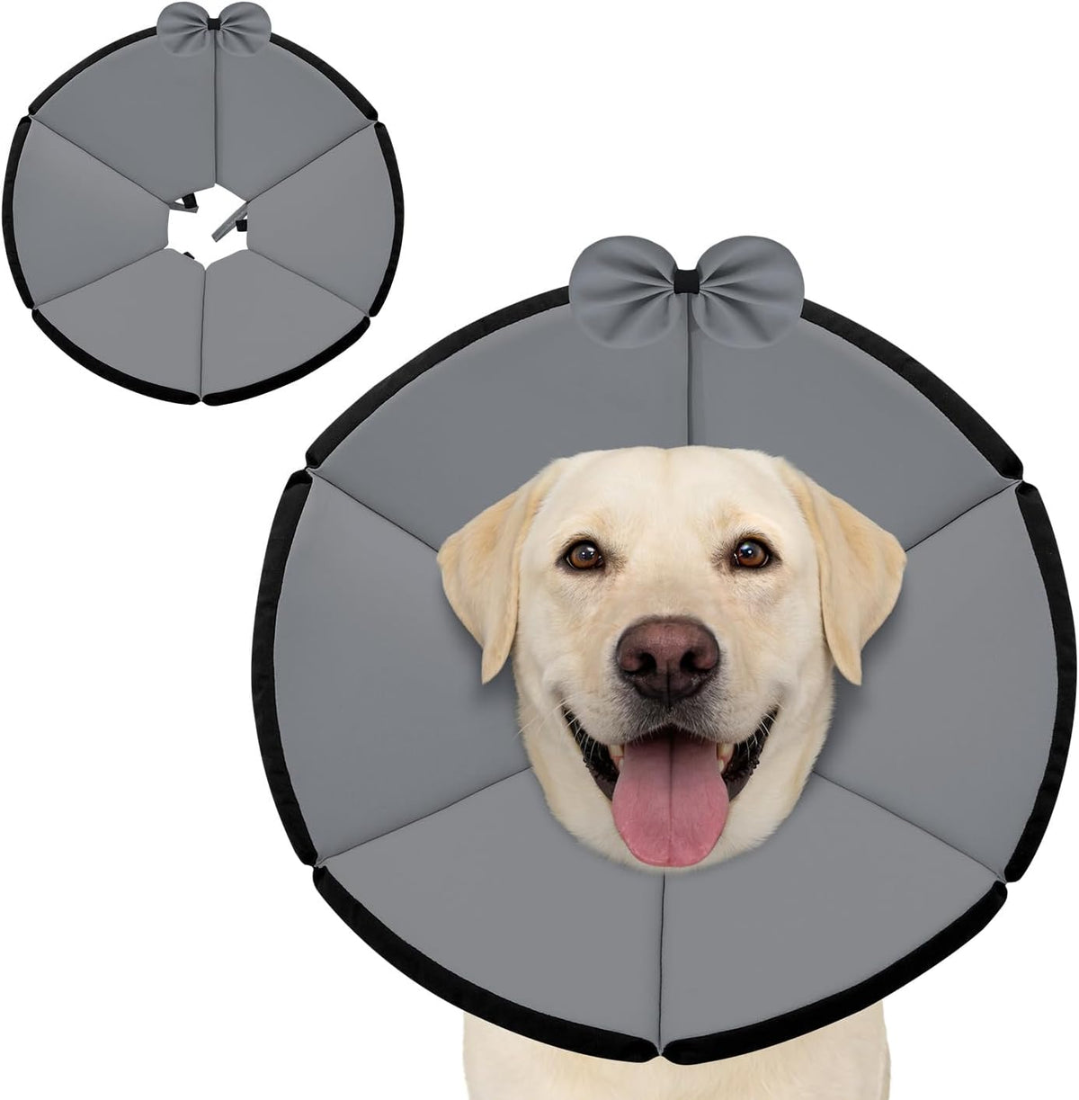 Maxfut soft dog cone collar front view for post surgery recovery