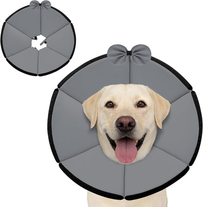 Maxfut soft dog cone collar front view for post surgery recovery