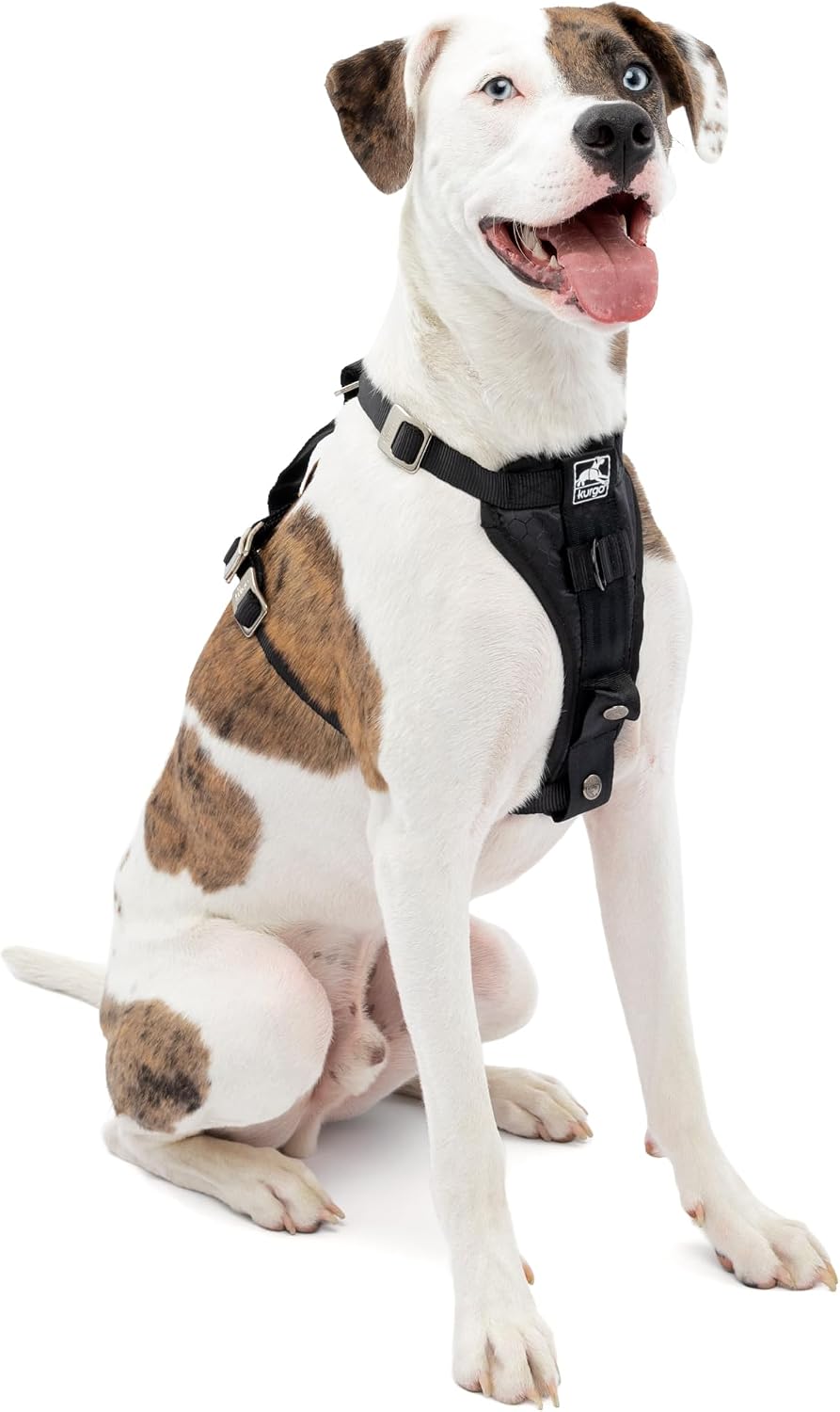 Kurgo Enhanced Strength Tru-Fit Dog Car Harness Medium Black front view