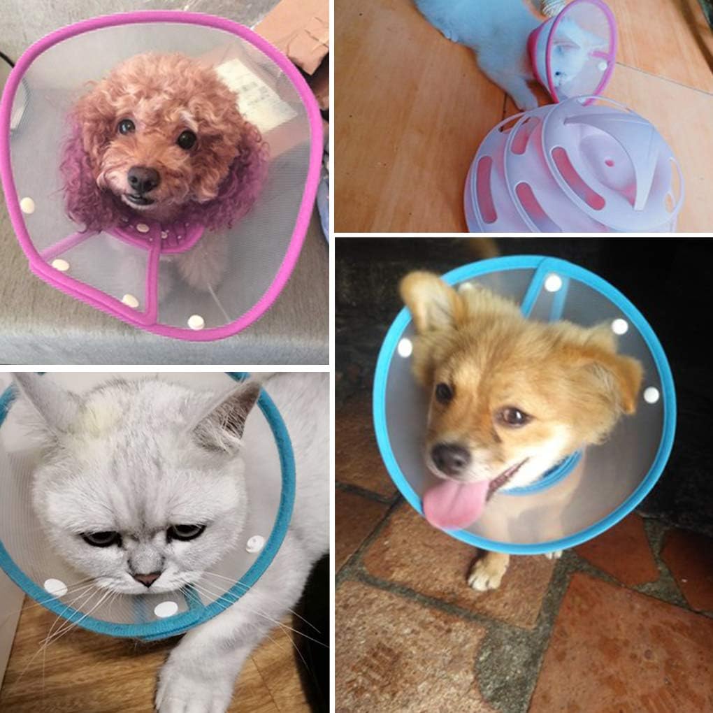 Andiker transparent post surgery collar for cats and small dogs