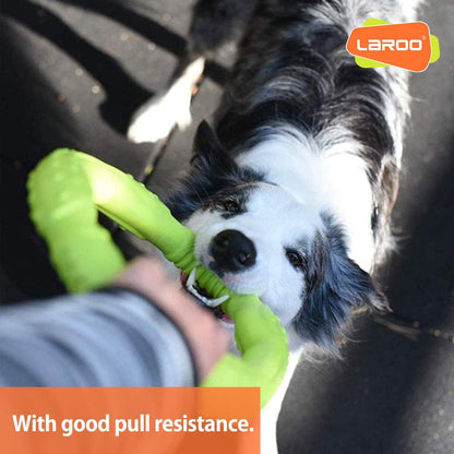 Owner and dog playing tug of war with LaRoo green ring