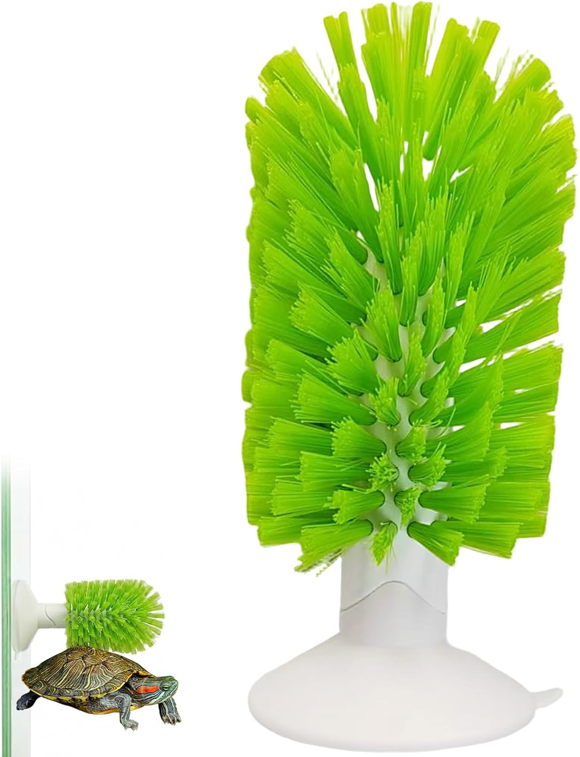 Generic turtle scrub exfoliating brush front view showing green nylon bristles and white base.