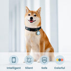 Pawaii smart pet tracker tag attached securely to a dog collar