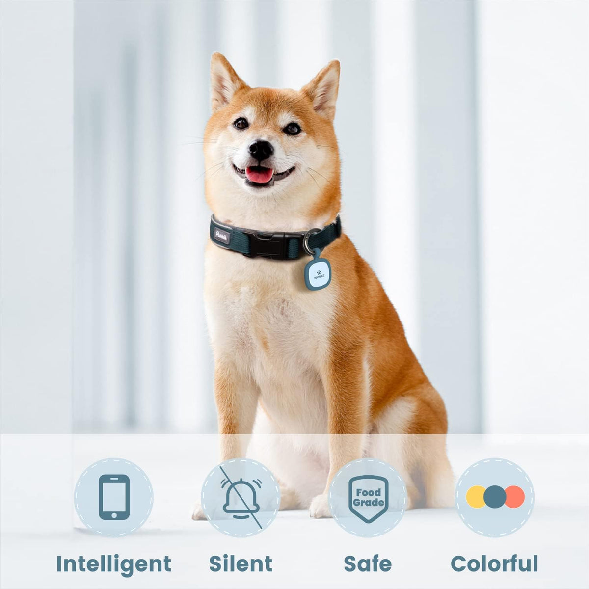 Pawaii smart pet tracker tag attached securely to a dog collar