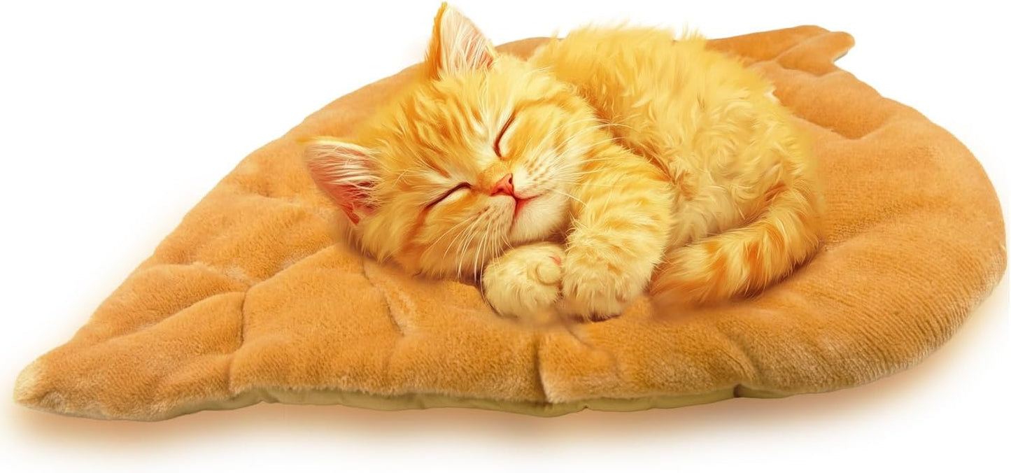 Demonstration of the machine washable feature of the Romaneco leaf pet pad