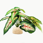 Reptile Plants for Terrarium Decor,Amphibian Habitat Decor,Artificial Plants for Gecko Chameleon Snake Tortoise Tank Accessories with Base (Monstera deliciosa) - Image 14