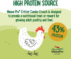 Refillable twenty five ounce clear container with green lid for chicken treats
