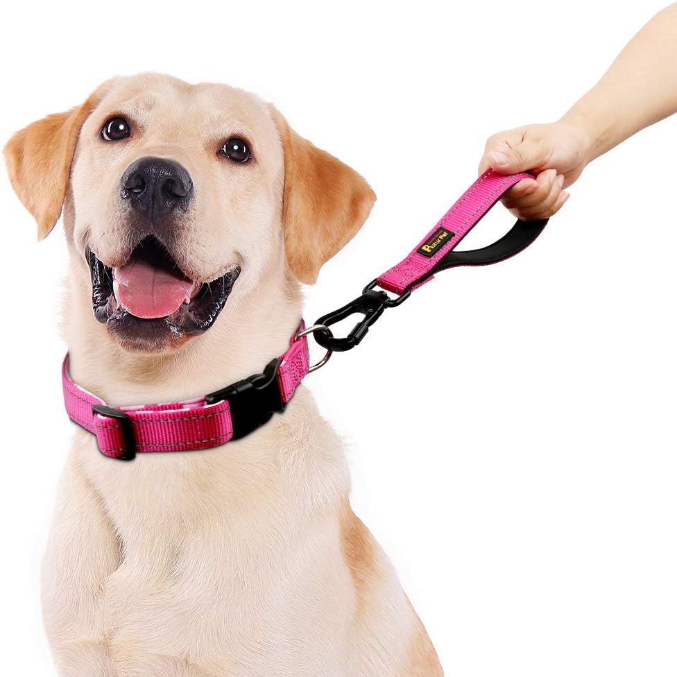 Plutus Pet traffic leash close up view of the pink neoprene padded handle.