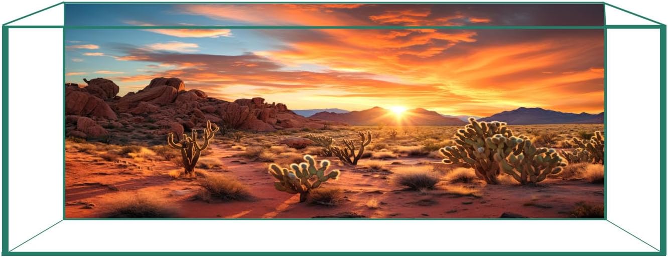 CICK SEED reptile tank background featuring front view of a desert sunset design.