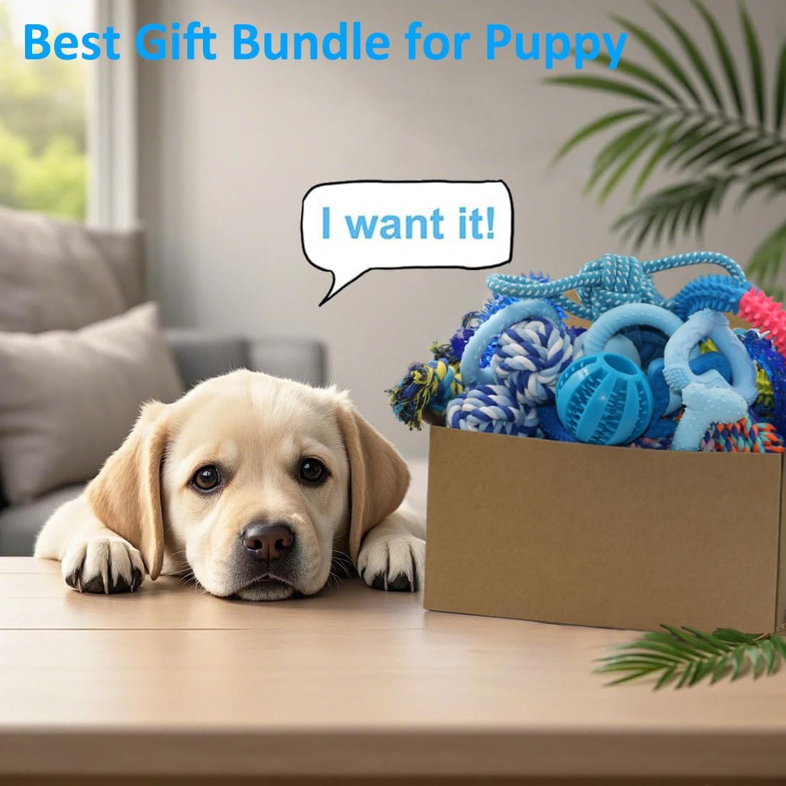 Beiker dog toy bundle packaged in gift box