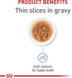USA imported Royal Canin wet food for extra small puppies
