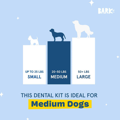 Dog chewing on Barkbox Bright dental stick for oral health