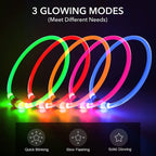 BSEEN rechargeable LED collar glowing on a dog