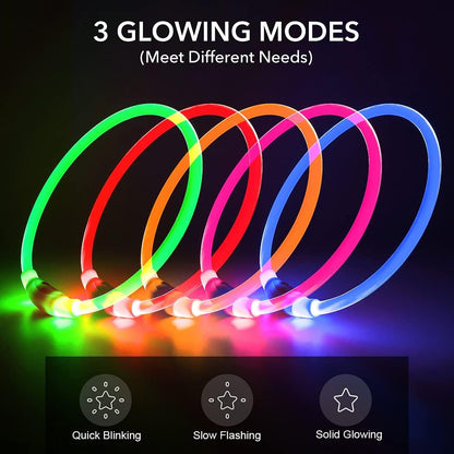 BSEEN rechargeable LED collar glowing on a dog