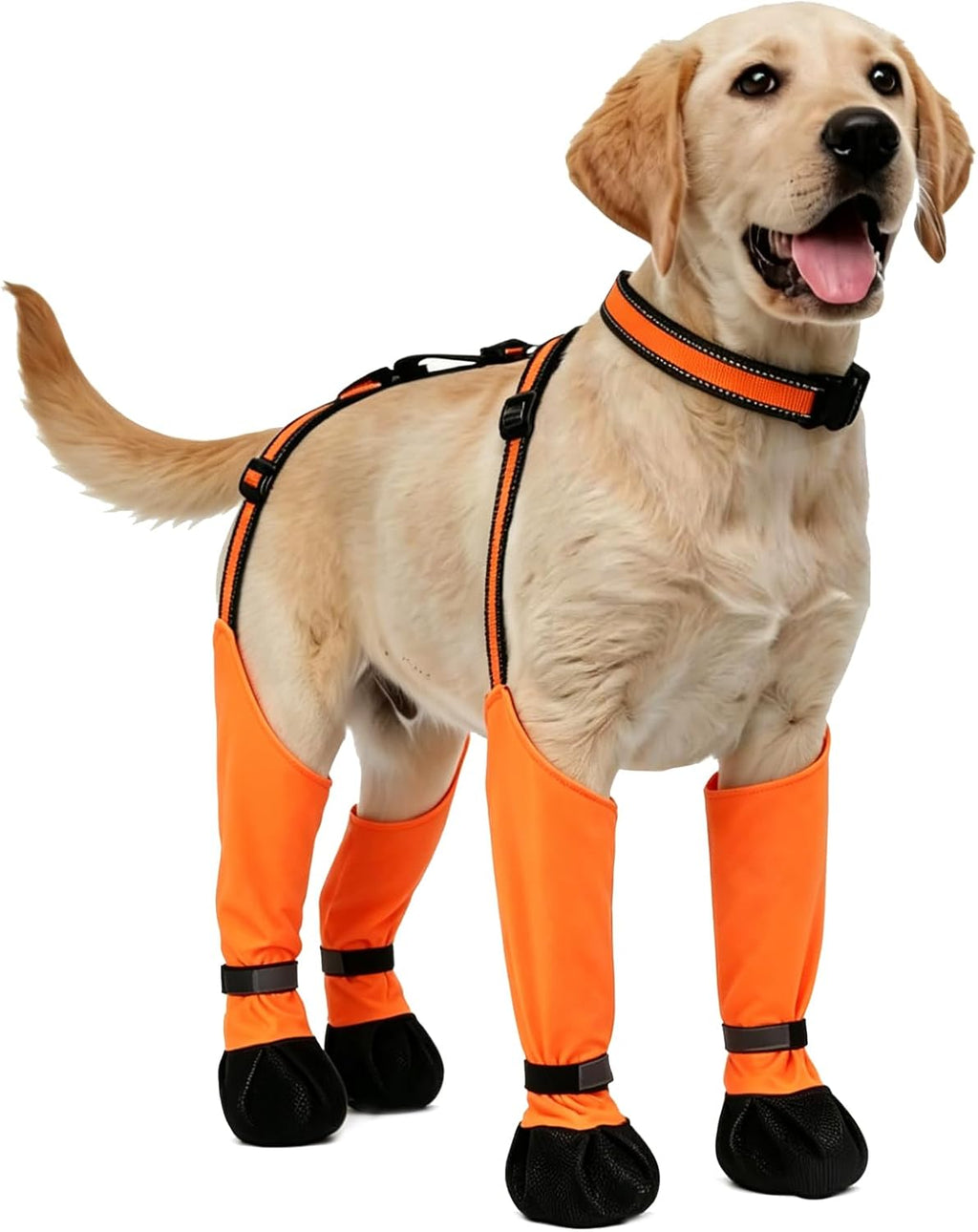 All-in-One Dog Suspender Boots for Small, Medium & Large Dogs - Waterproof Paw Protectors with Non-Slip Sole & Reflective Straps, Ideal for Rain, Snow, and Hiking (Black, L) - Image 9