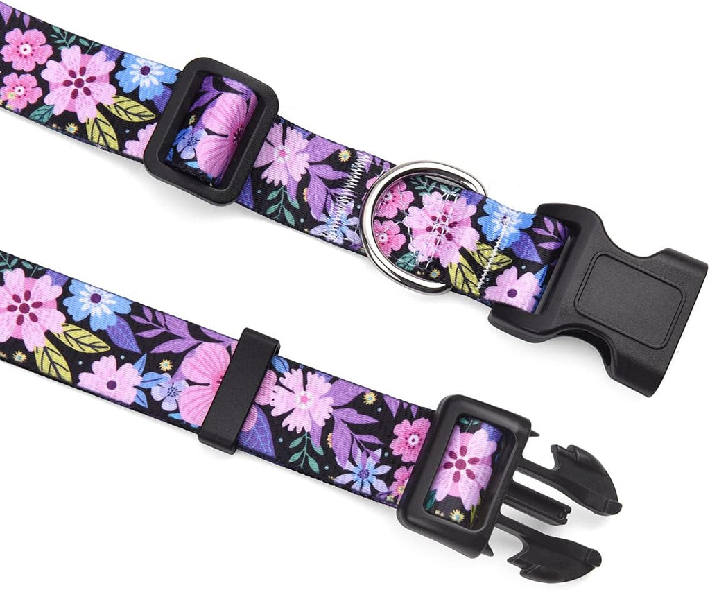 Mihqy ethnic style dog collar metal D-ring detail