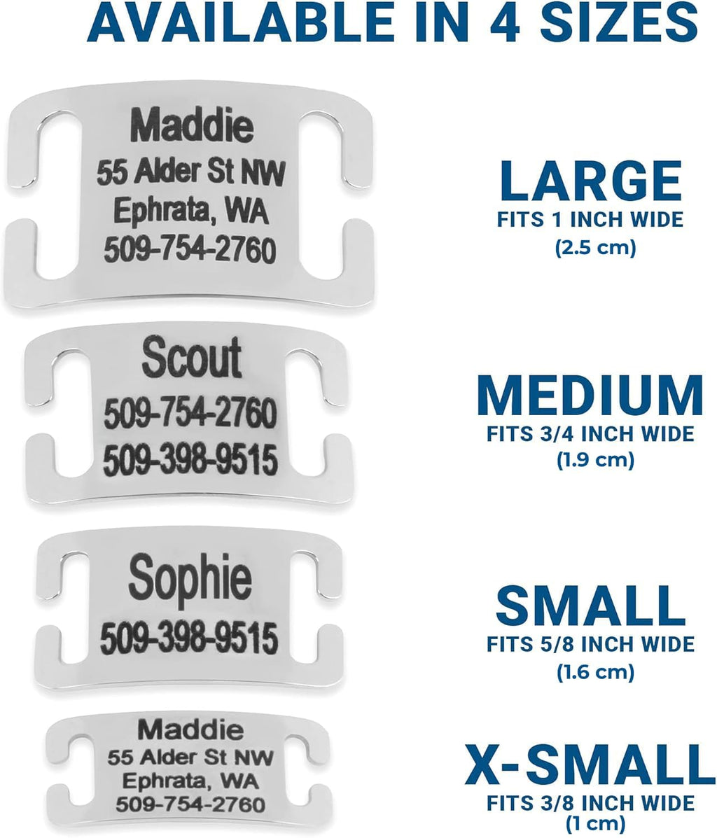 Silent jingle free collar tag attached to a nylon dog collar