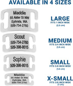 Silent jingle free collar tag attached to a nylon dog collar