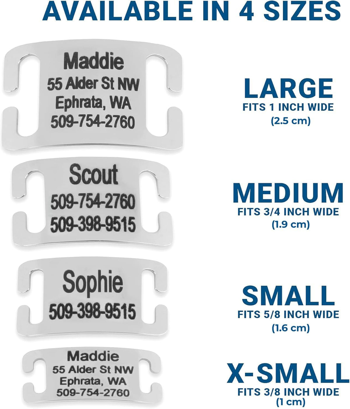 Silent jingle free collar tag attached to a nylon dog collar