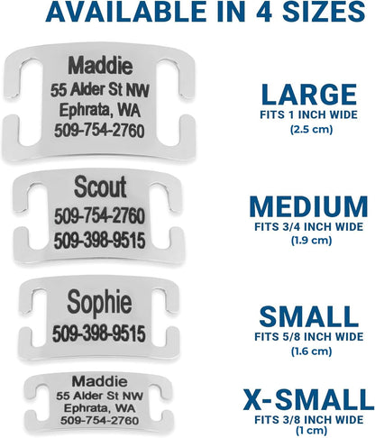 GoTags silent stainless steel cat collar identification plate close up shot
