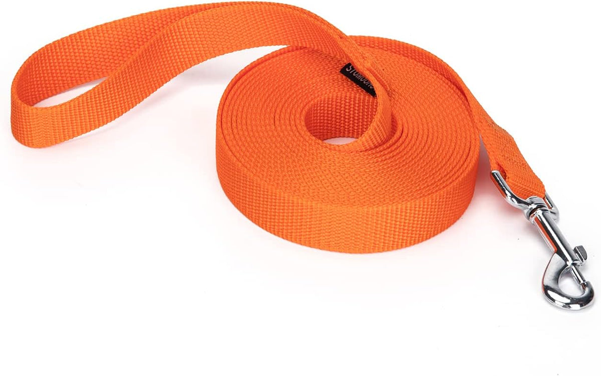 Strong Durable Nylon 10ft Long Dog Training Leash, Traction Rope, 1 Inch Wide, for Small and Medium Dog (Black, 10 Feet) - Image 15