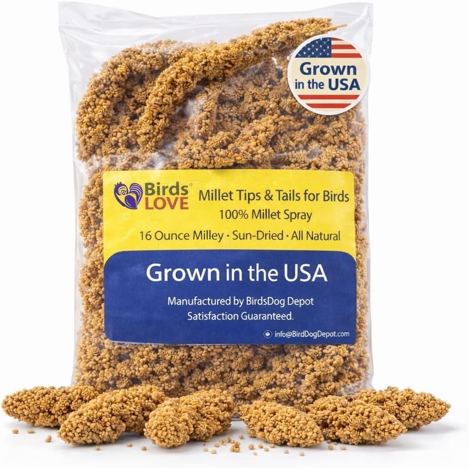 Birds LOVE(R) Economy Spray Millet for Birds, 7 oz, GMO-Free Natural Millet Spray Treat, Stem-Reduced Edible Tops, Grown in USA, for Parakeets, Cockatiels, Lovebirds, Finches, Canaries -Pack of 2 - Image 11