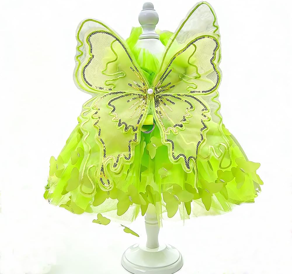 Cat wearing pink and rainbow butterfly princess costume
