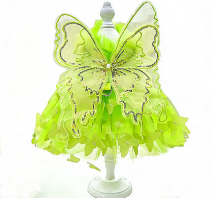 Cat wearing pink and rainbow butterfly princess costume