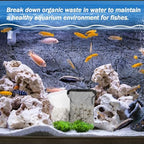 Sukh ceramic rings filtration setup for freshwater and saltwater tanks