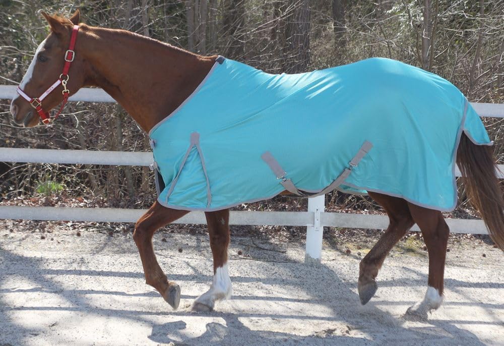 Rear view of the protective equine cover showing the built in tail cover detail.